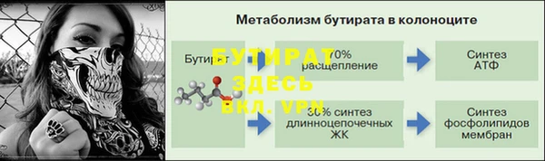 спиды Инта