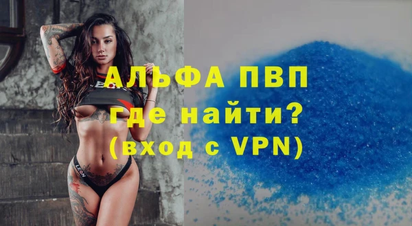 стафф Иннополис