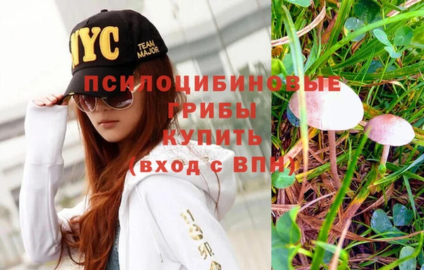стафф Иннополис