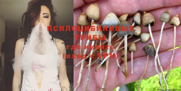 МДМА Инсар
