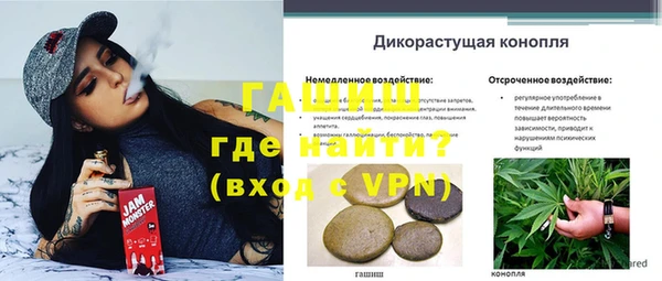 спиды Инта