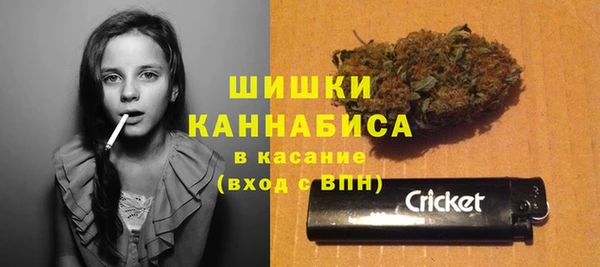 стафф Иннополис