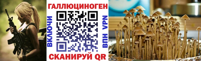 Купить  Зарайск  Галлюциногенные грибы Psilocybe 