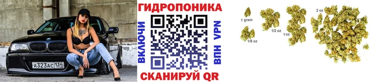 Купить  Зарайск  Канабис гибрид 